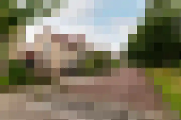 Bluesdreef 5 Harderwijk thumbnail 41