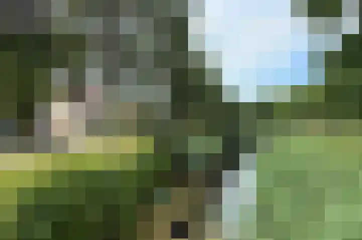 Bluesdreef 5 Harderwijk thumbnail 45