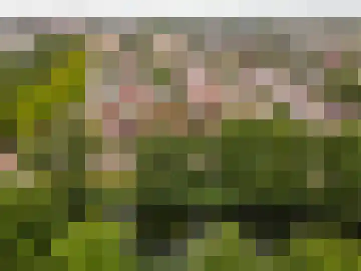 Bluesdreef 5 Harderwijk thumbnail 46