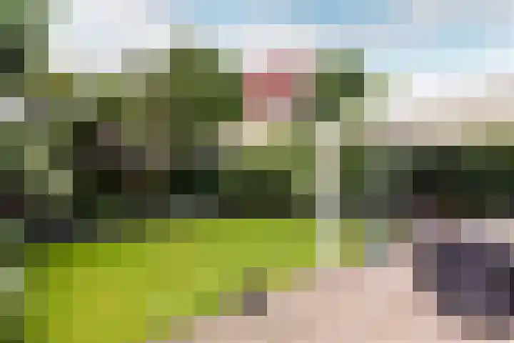 Bluesdreef 5 Harderwijk thumbnail 5