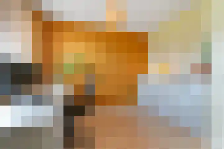 Bluesroute 108 A Middelburg thumbnail 28