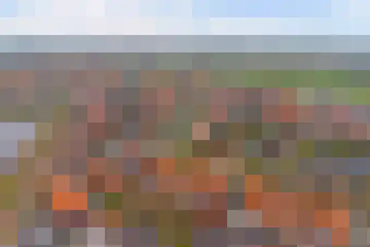 Bluesroute 119 Middelburg thumbnail 47