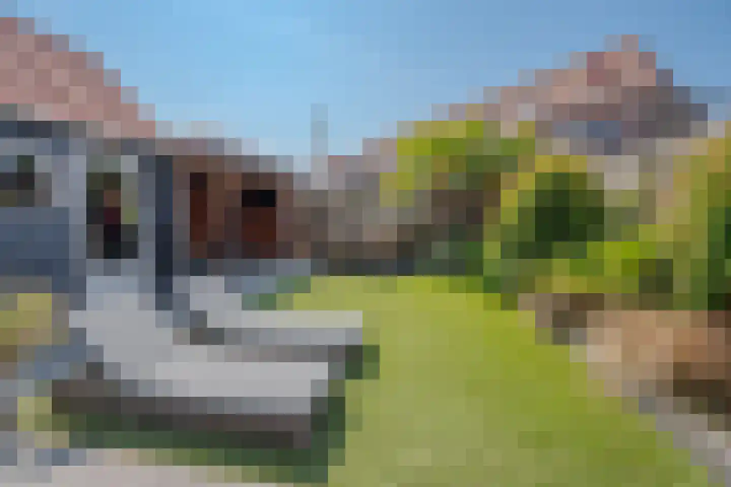 Bluesroute 6 Middelburg thumbnail 47