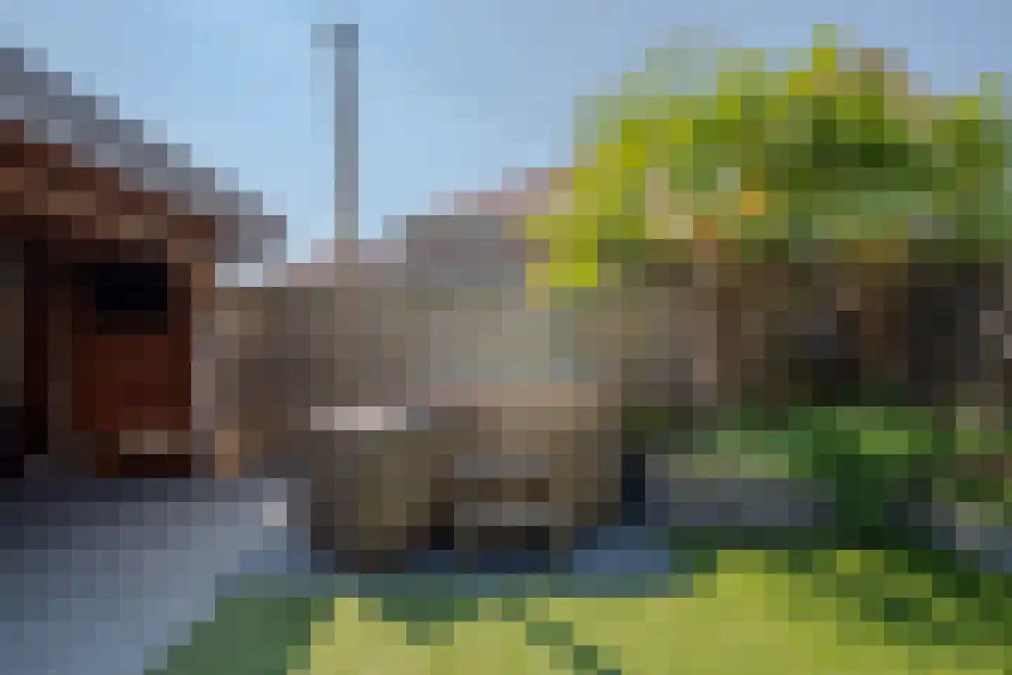 Bluesroute 6 Middelburg thumbnail 49