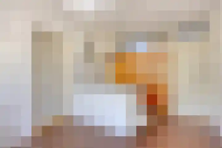 Bluisterplein 9 Ruurlo thumbnail 12