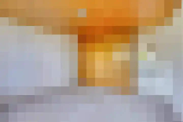 Bluisterplein 9 Ruurlo thumbnail 21