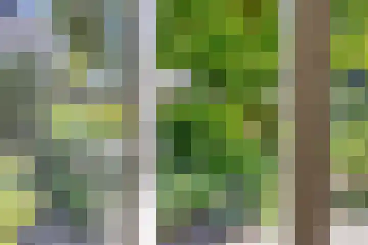 Bluisterplein 9 Ruurlo thumbnail 27