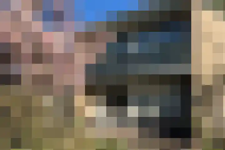 Bluisterplein 9 Ruurlo thumbnail 29