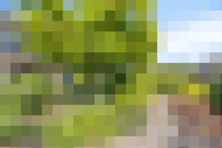 Bluisterplein 9 Ruurlo thumbnail 31