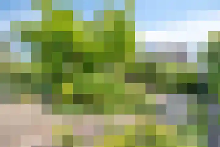 Bluisterplein 9 Ruurlo thumbnail 32