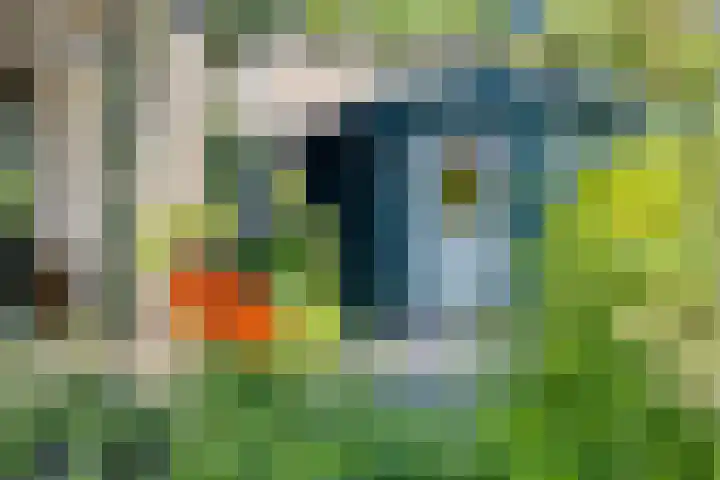 Bluisterplein 9 Ruurlo thumbnail 34