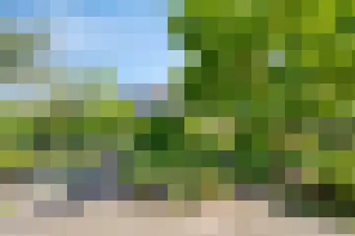 Bluisterplein 9 Ruurlo thumbnail 35