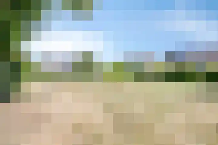 Bluisterplein 9 Ruurlo thumbnail 37