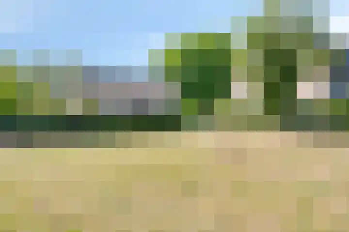 Bluisterplein 9 Ruurlo thumbnail 38