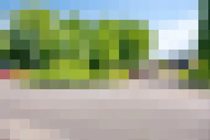 Bluisterplein 9 Ruurlo thumbnail 39