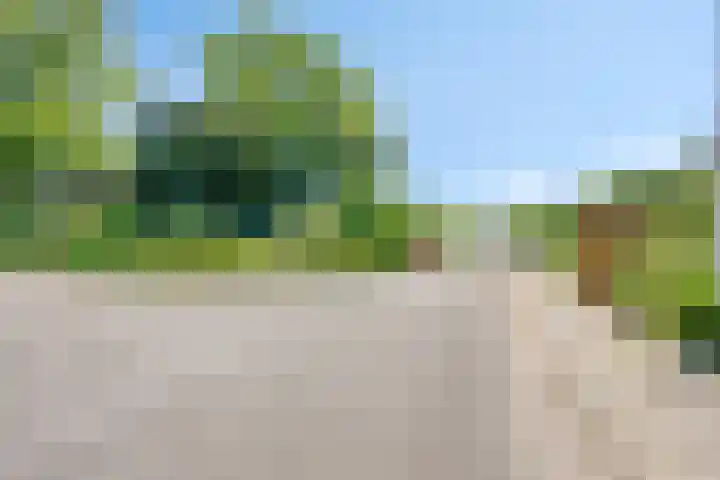 Bluisterplein 9 Ruurlo thumbnail 41
