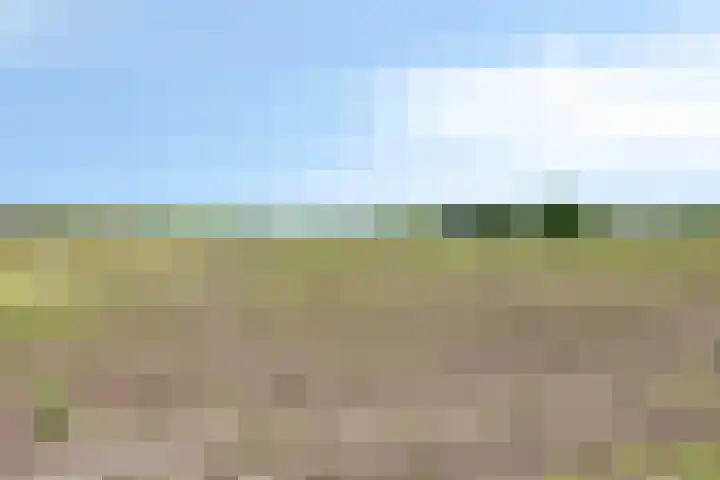 Bluisterplein 9 Ruurlo thumbnail 44