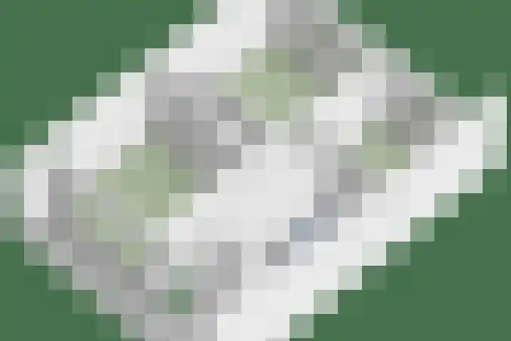Bluisterplein 9 Ruurlo thumbnail 47