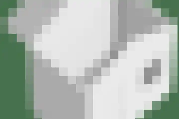 Bluisterplein 9 Ruurlo thumbnail 48