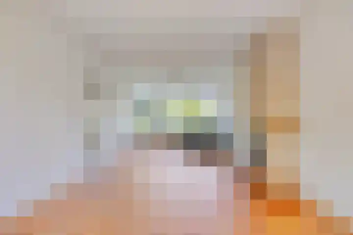 Bluisterplein 9 Ruurlo thumbnail 9