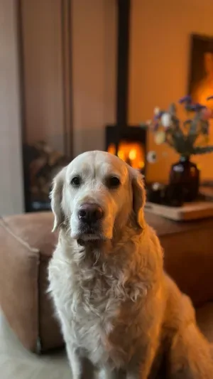 Foto van Bo Grondsma