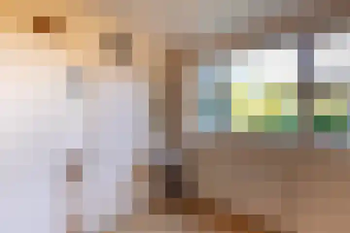 Boargemaster Dukerstrjitte 24 Sexbierum thumbnail 14
