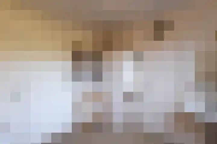 Boargemaster Dukerstrjitte 24 Sexbierum thumbnail 15