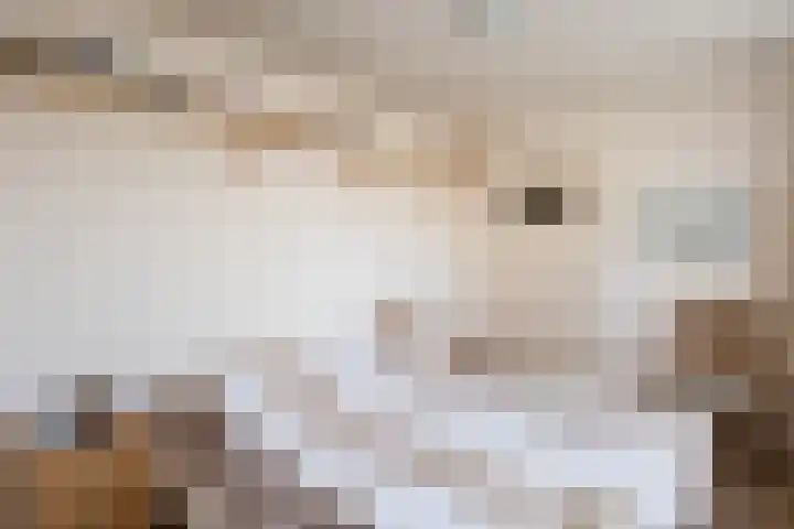 Boargemaster Dukerstrjitte 24 Sexbierum thumbnail 22