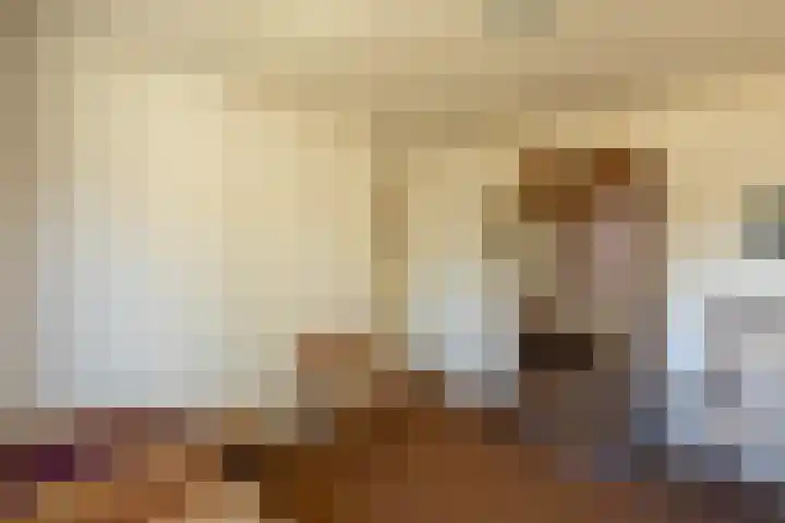 Boargemaster Dukerstrjitte 24 Sexbierum thumbnail 25