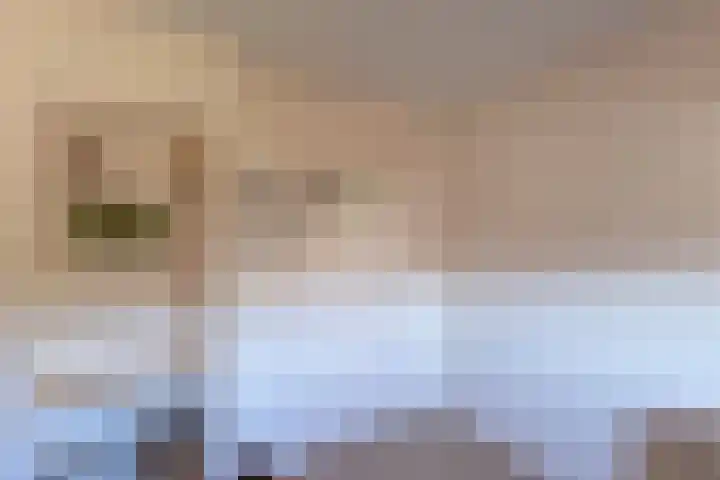 Boargemaster Dukerstrjitte 24 Sexbierum thumbnail 26