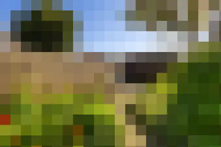 Boargemaster Dukerstrjitte 24 Sexbierum thumbnail 29