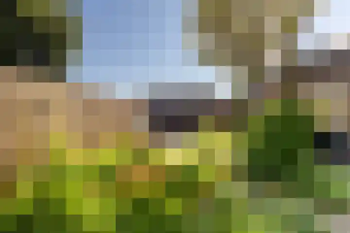 Boargemaster Dukerstrjitte 24 Sexbierum thumbnail 30