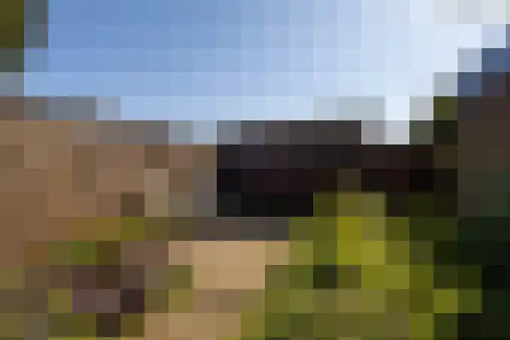 Boargemaster Dukerstrjitte 24 Sexbierum thumbnail 31
