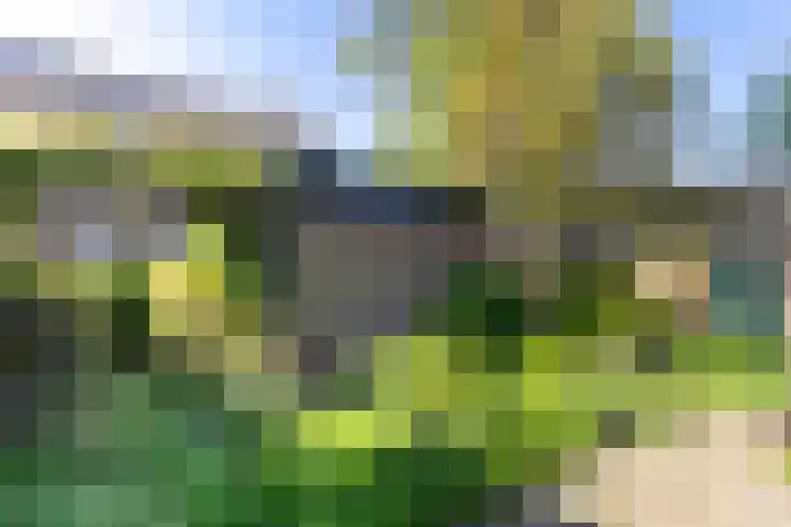 Boargemaster Dukerstrjitte 24 Sexbierum thumbnail 32
