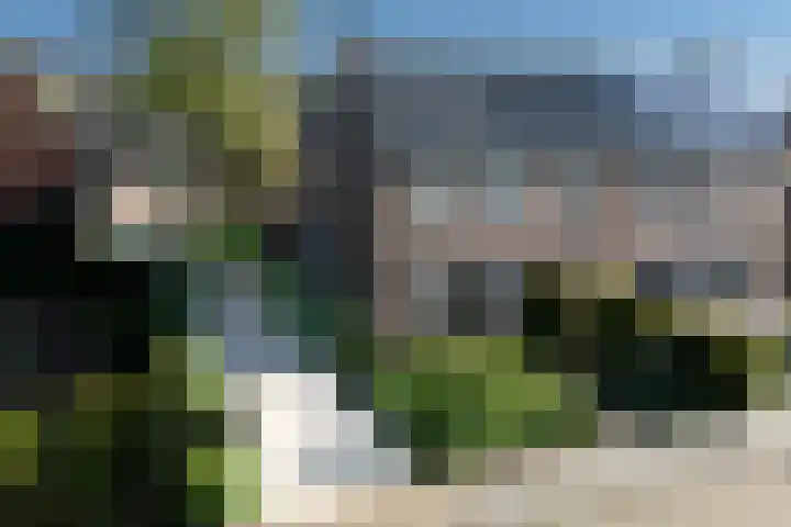Boargemaster Dukerstrjitte 24 Sexbierum thumbnail 35
