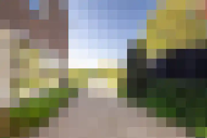 Boargemaster Dukerstrjitte 24 Sexbierum thumbnail 6