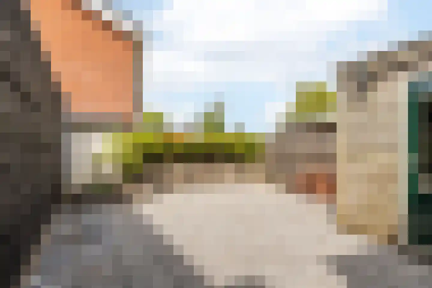 Boarnsterdyk 63 Akkrum thumbnail 14