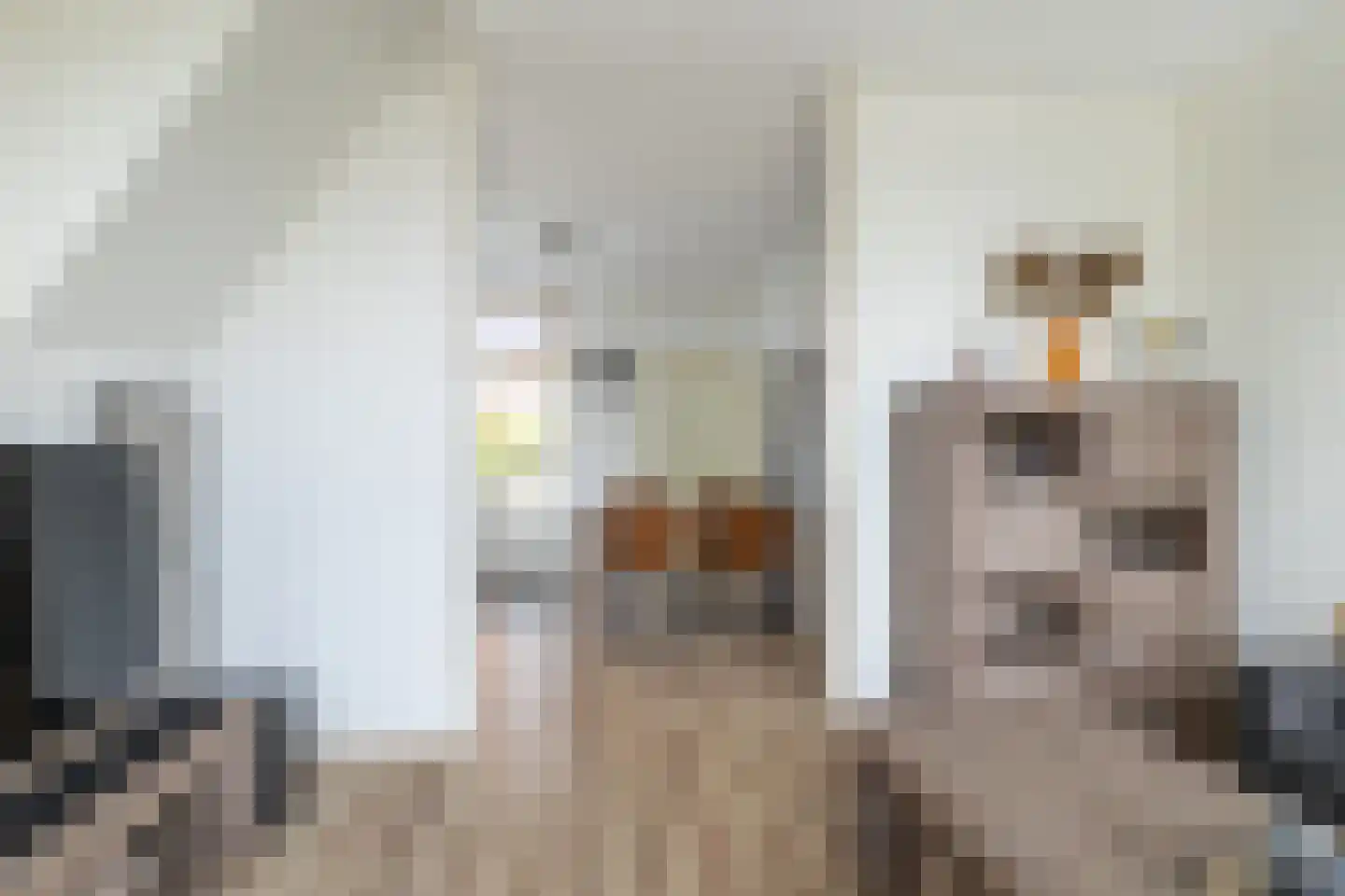 Boarnsterdyk 63 Akkrum thumbnail 7