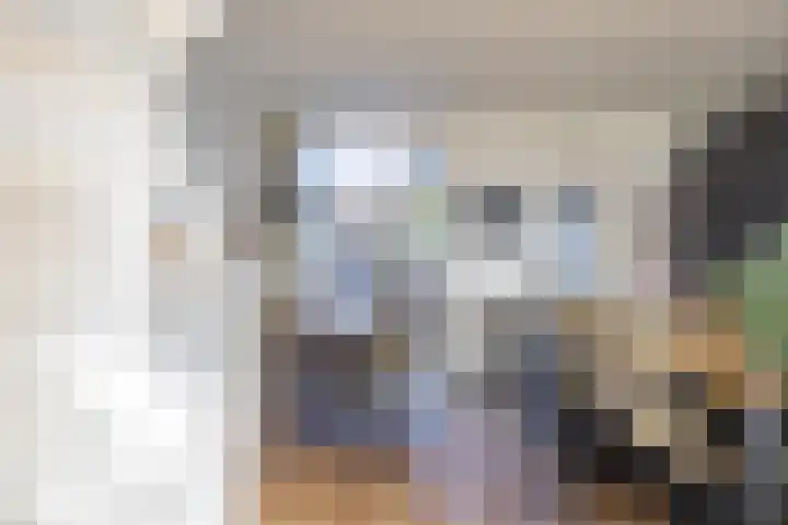 Boarnsterdyk 65 Akkrum thumbnail 12