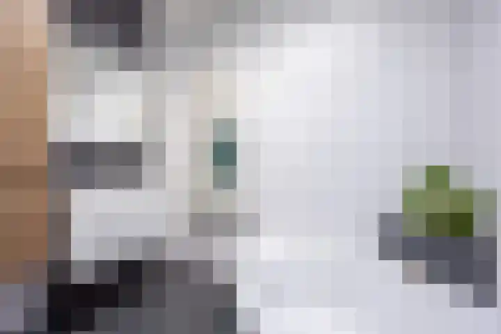 Boarnsterdyk 65 Akkrum thumbnail 17