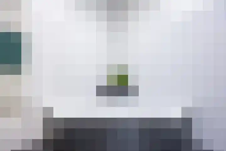 Boarnsterdyk 65 Akkrum thumbnail 18