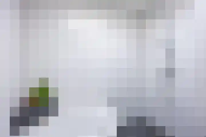 Boarnsterdyk 65 Akkrum thumbnail 19