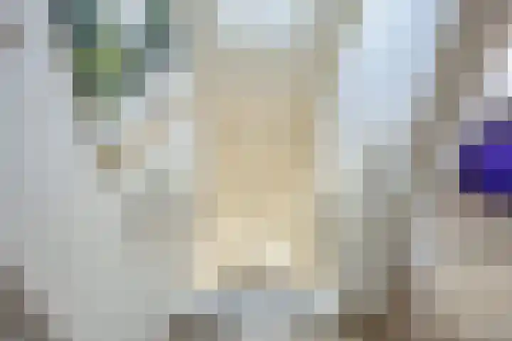 Boarnsterdyk 65 Akkrum thumbnail 21