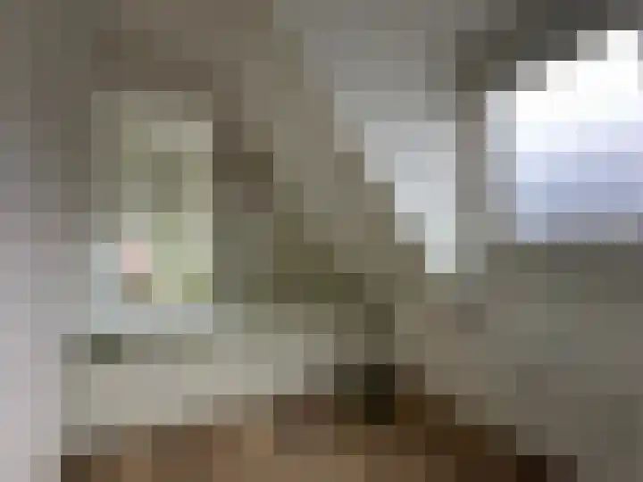 Boarnsterdyk 65 Akkrum thumbnail 27