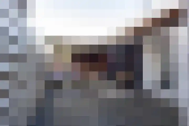 Boarnsterdyk 65 Akkrum thumbnail 29
