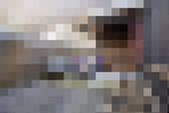 Boarnsterdyk 65 Akkrum thumbnail 31