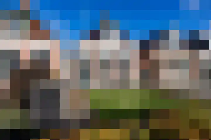 Boarnsterdyk 65 Akkrum thumbnail 33