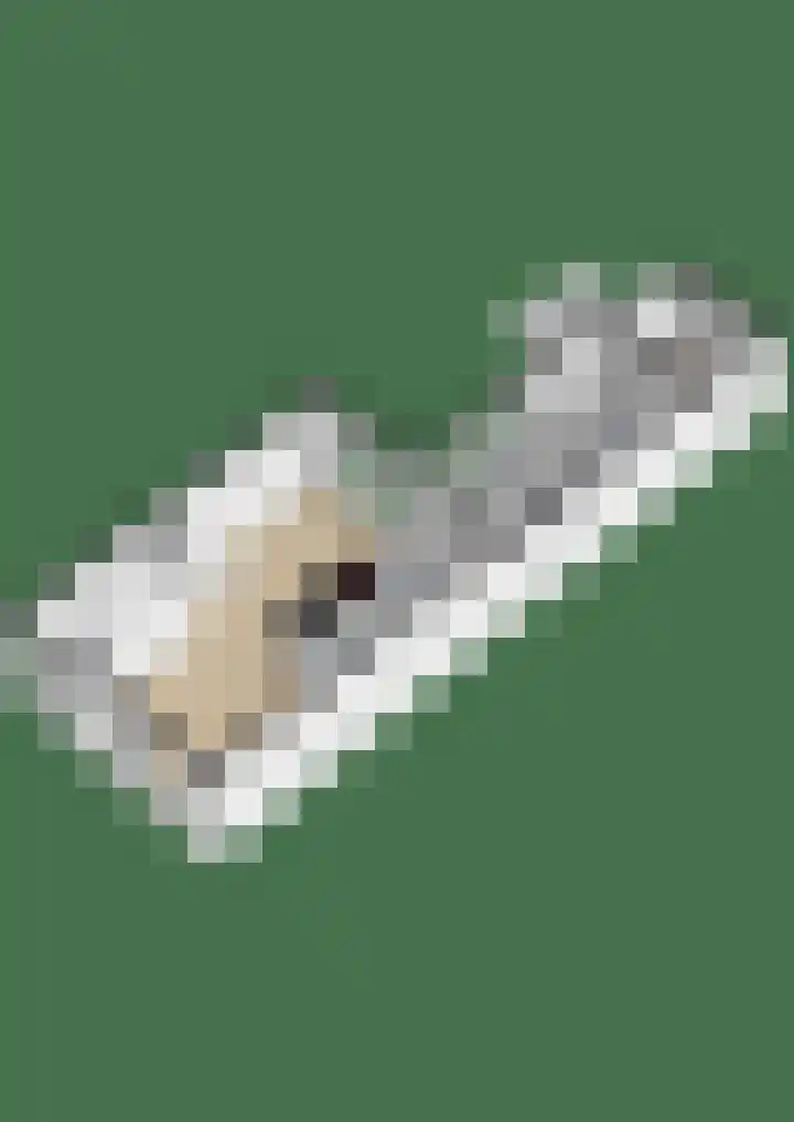 Boarnsterdyk 65 Akkrum thumbnail 36