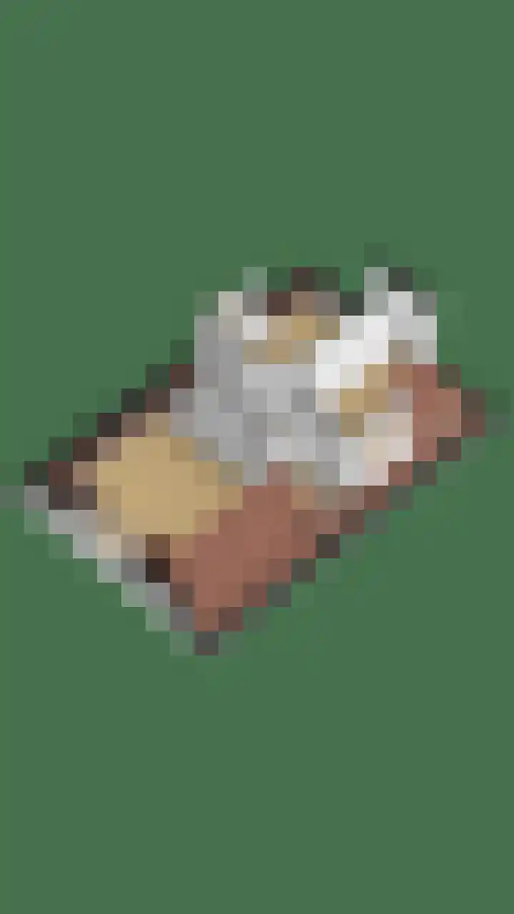 Boarnsterdyk 65 Akkrum thumbnail 38