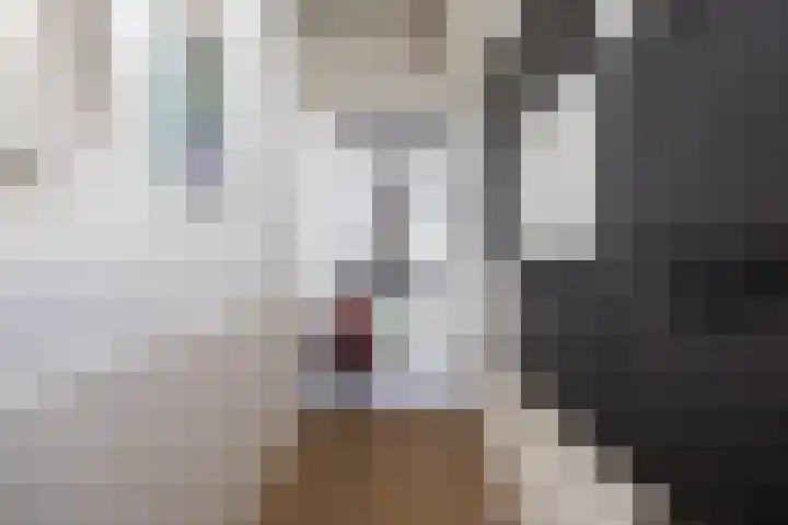Boarnsterdyk 65 Akkrum thumbnail 4